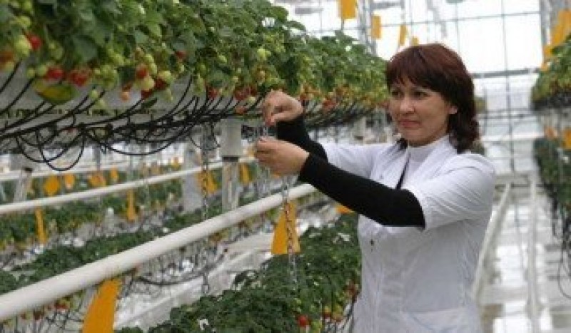 Ручной полив, www.evening-kazan.ru