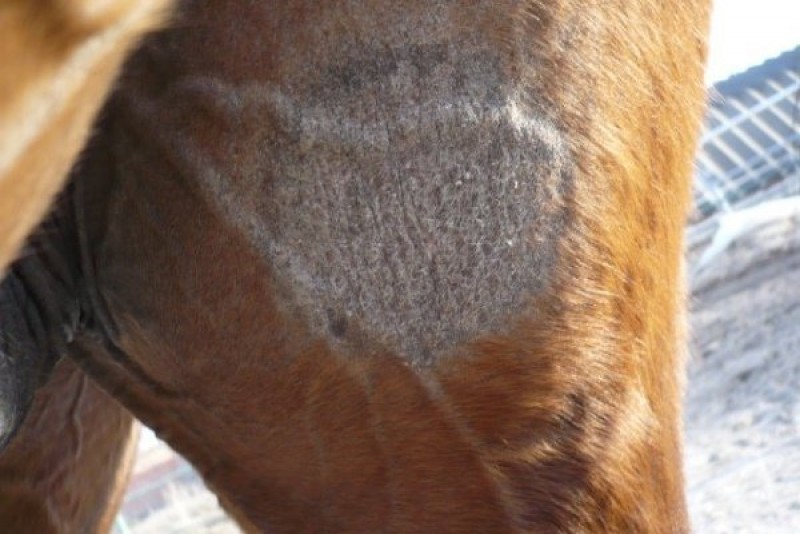 Опасные болезни, которые нужно знать