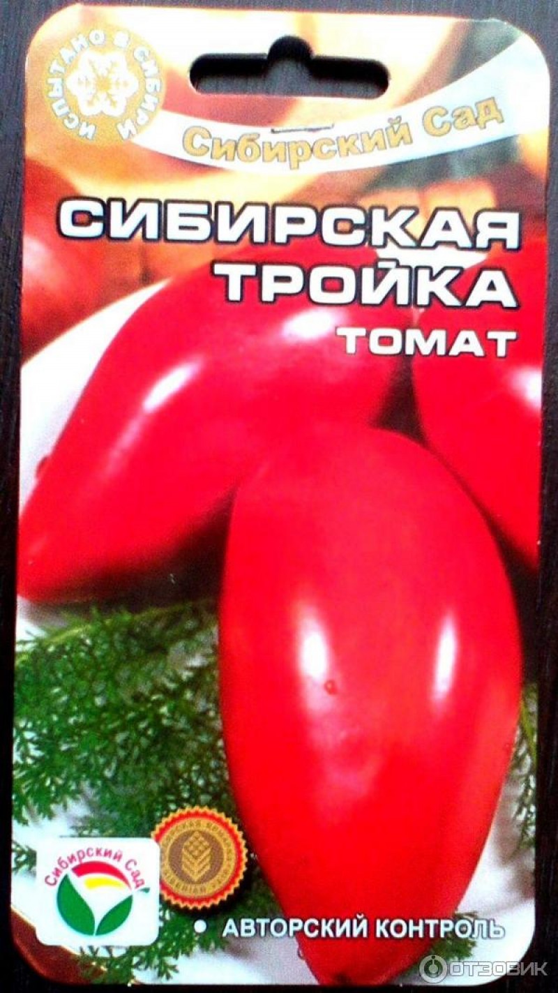 помидор сибирская тройка фото