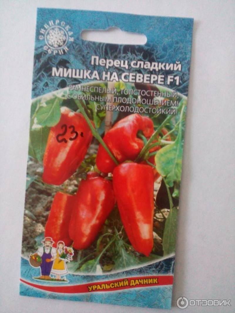 перец мишка на севере. перец мишка на севере. перец мишка на севере. перец мишка на севере. перец мишка на севере.