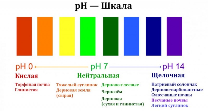 Шкала кислотности почвы