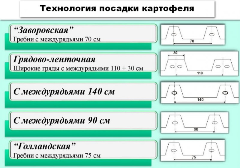 По какой схеме сажать картошку