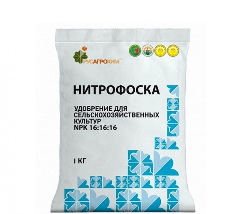 Чем подкормить хвойные весной