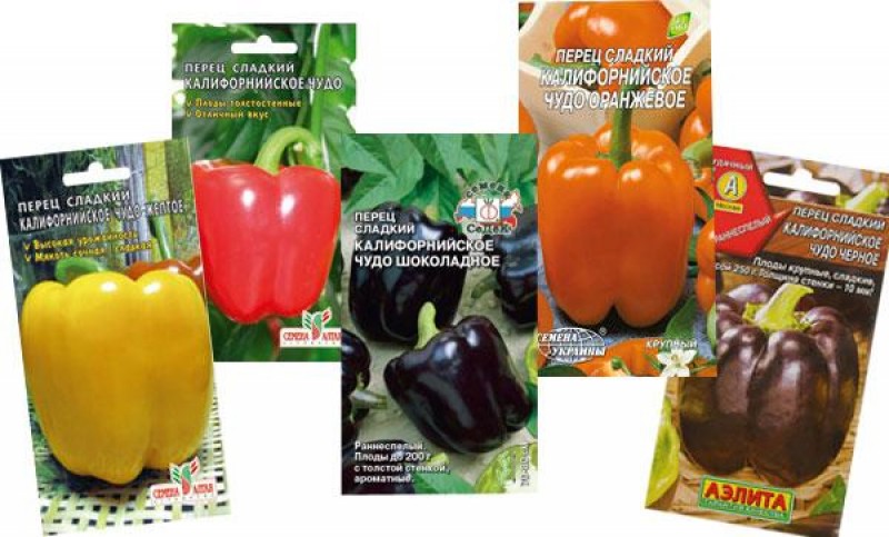 сорт перца калифорнийское чудо. перец сладкий калифорнийское чудо. семена перец сладкий калифорнийское чудо. перец калифорнийское чудо. перец калифорнийское чудо описание и отзывы.