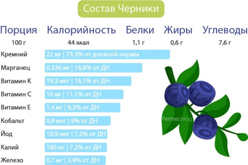 Голубика: полезные свойства и противопоказания, какие …