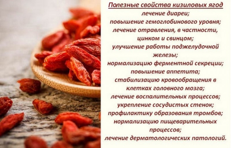 Можно ли кизил беременным. Чем полезен кизил. Чем полезен кизил для организма. Чем полезен кизил для организма человека женщин. Кизил ягода полезные.