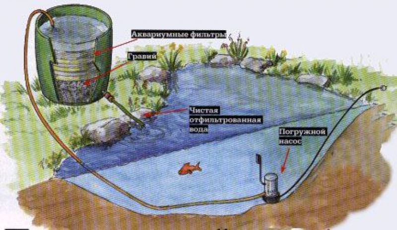 Схема пруда с биоплато с насосом