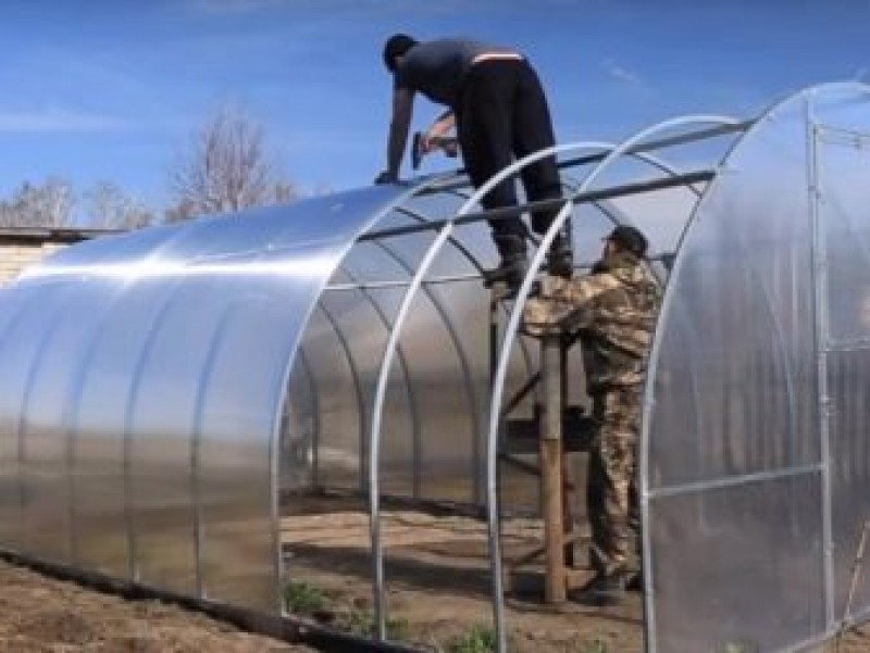 теплица из поликарбоната. поликарбонат теплица крепле. установка парника поликарбоната. покрытие теплицы поликарбонатом. сборка теплицы.
