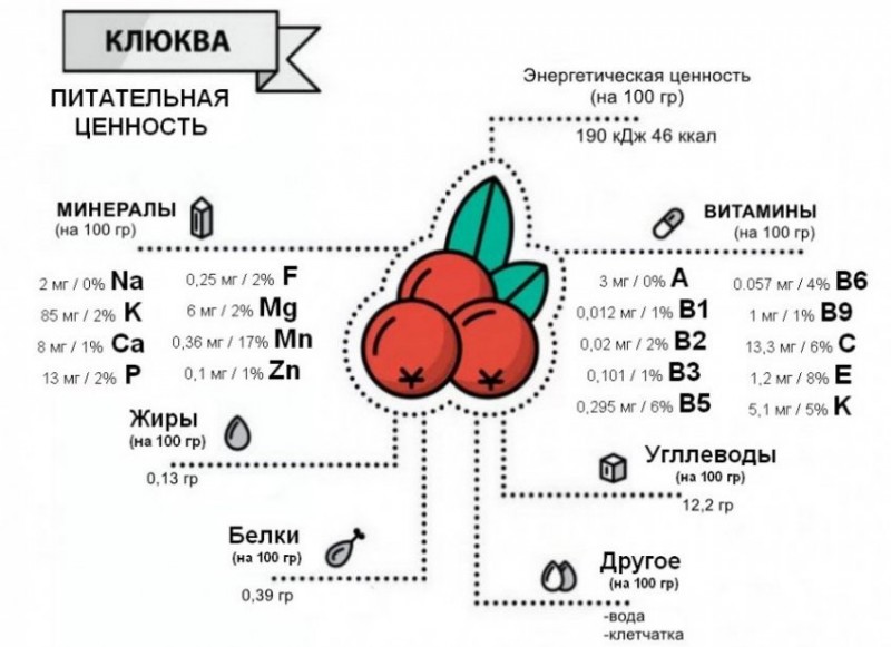 Состав клюквы