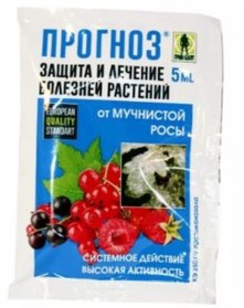 Народные средства от мучнистой росы на крыжовнике. Препараты против мучнистой росы. Препарат от мучнистой росы на крыжовнике. Препараты от мучнистой росы для крыжовника и смородины. Препарат от серой гнили на клубнике.