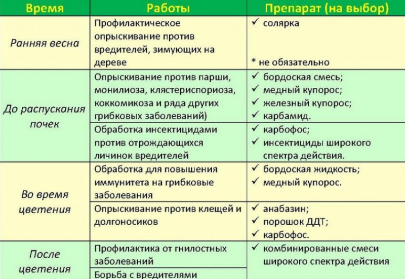 Что именно нужно делать с кустами смородины ранней весной для защиты от вредителей