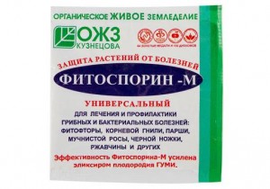 Как самостоятельно построить теплицу с использованием стеклопакетов в качестве стеклянного покрытия, и как определить оптимальные размеры (ширину и высоту) для строительства теплицы, а также провести проектирование и расчеты.