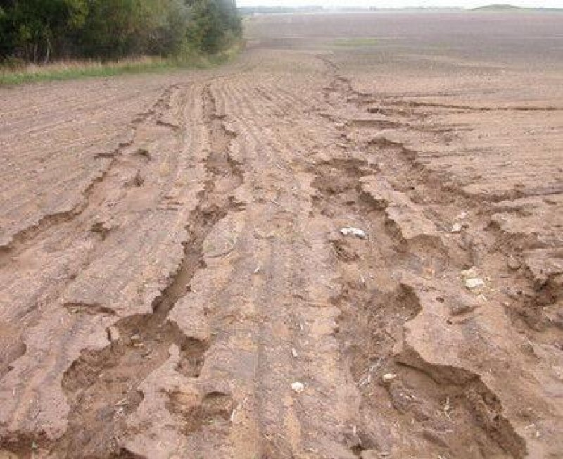 Нормальная эрозия. Плоскостная водная эрозия. Плоскостная эрозия почв. Плоскостная водная эрозия почв. Эрозия и дефляция почв.