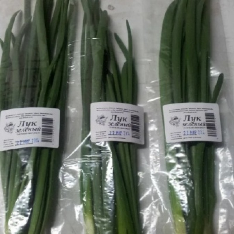 Зелень джусай. Зеленый лук геншин. Лук зеленый 100 гр. Лук зеленый 100 гр. Лук зеленый вес.