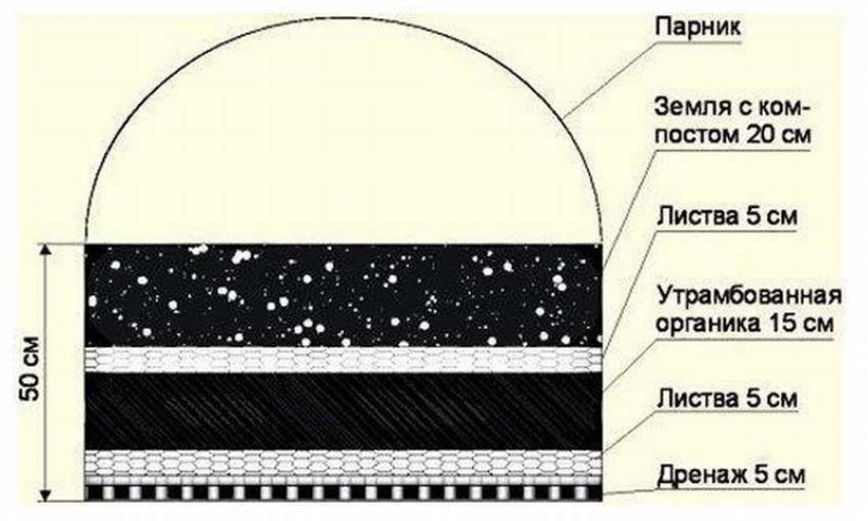 Высокие грядки наполнение схема