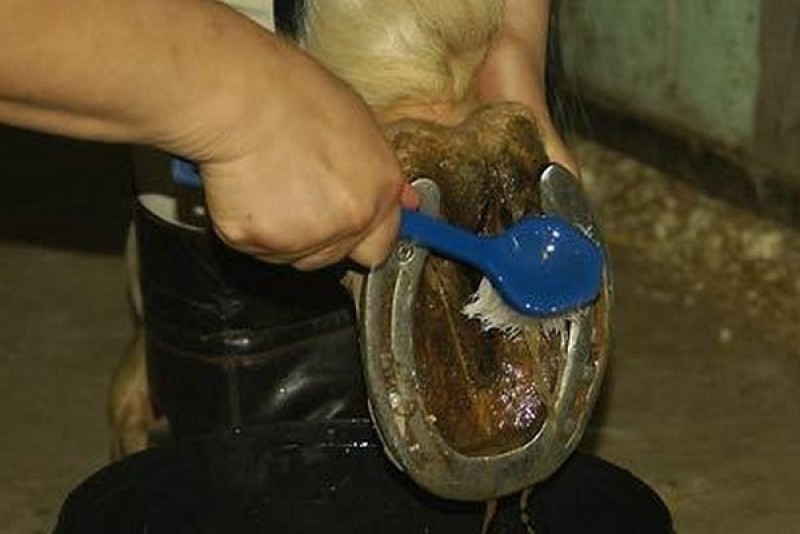 1. Регулярная чистка