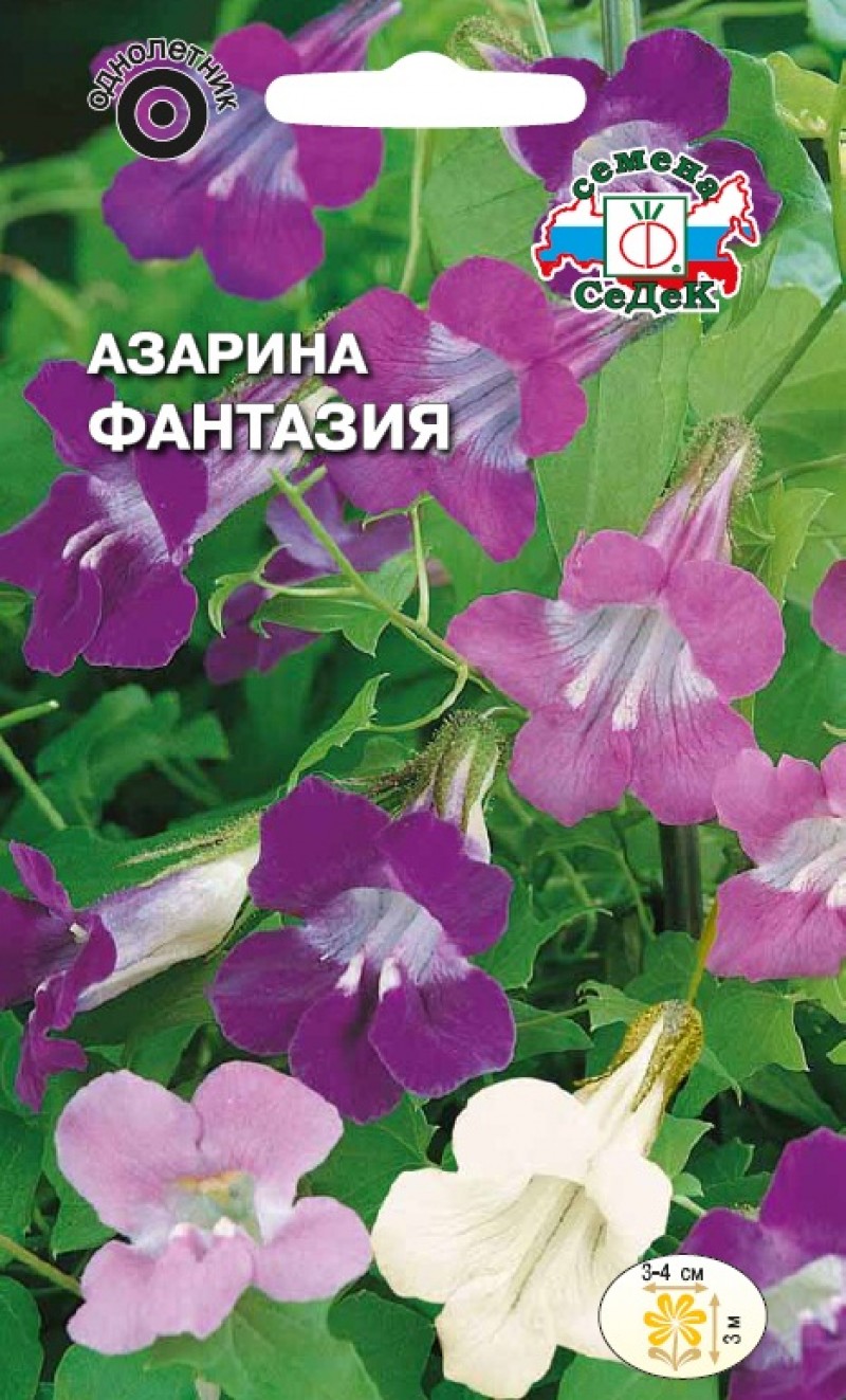 Азарина лазающая фантазия, смесь