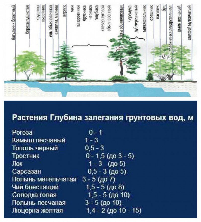 На какой глубине залегает