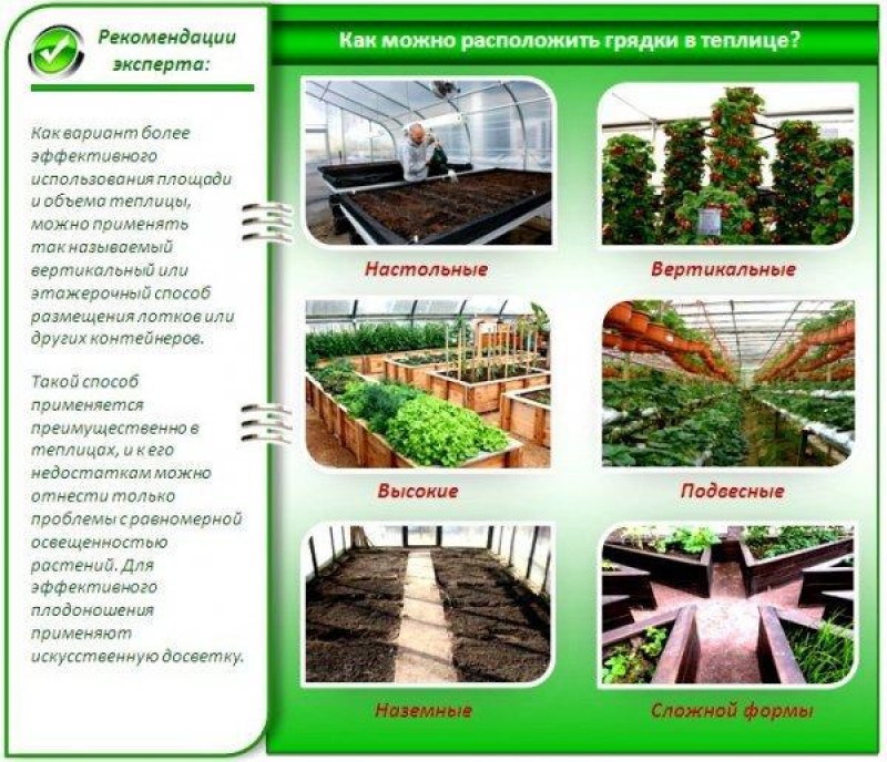 Теплица относительно сторон света. Схема высадки овощей в теплице. Теплица по Митлайдеру грядки. Как размещать грядки по сторонам света. Теплица и грядки на участке как расположить.