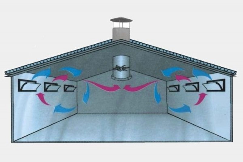 Вентиляция в свинарнике. Приточно-вытяжная система вентиляции в свинарниках. Приточно-вытяжная система вентиляции для КРС. Естественная вытяжная вентиляция в свинарнике. Приточные клапана в свинарнике.