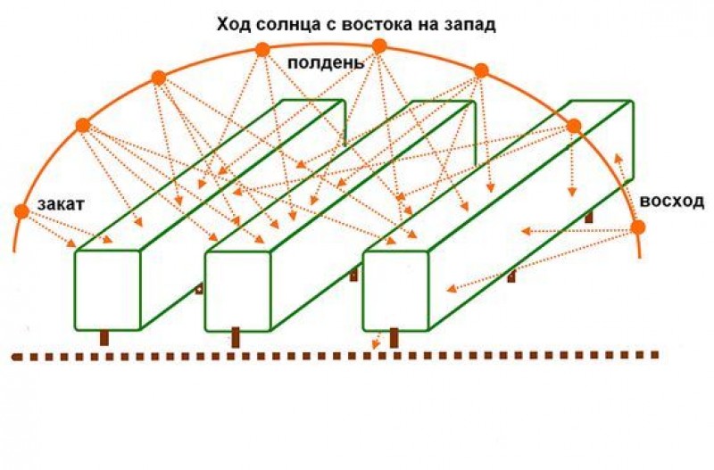 Расположение грядок на огороде схема