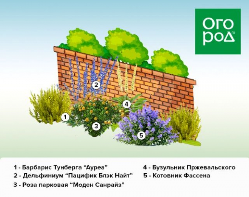 Схема клумбы у забора