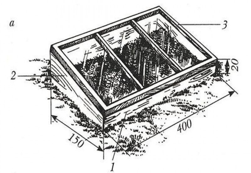 Деревянный парник для огурцов своими руками чертежи