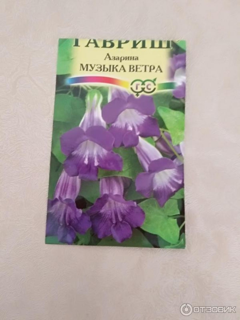 Семена азарины