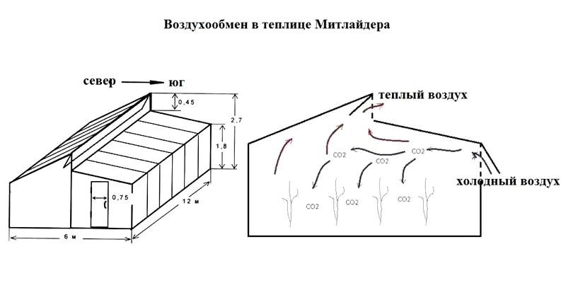 Теплица митлайдера схема