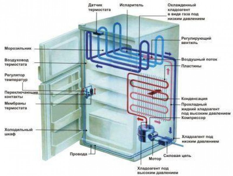 Почему в холодильнике появляется. Из чего состоит холодильник Атлант двухкамерный. Датчик испарителя морозильной камеры Атлант. Холодильник устройство и принцип работы. Принцип работы морозильной камеры Атлант.