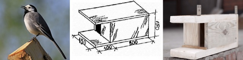 Скворечник для трясогузки чертеж