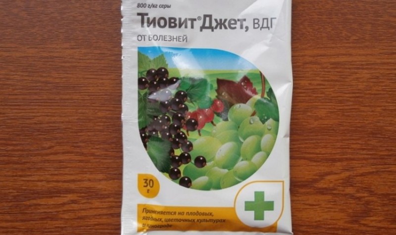 Тиовит джет