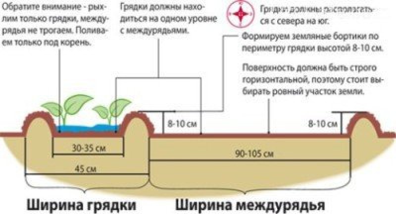 Размер грядок на огороде из досок и расстояние между грядками схема