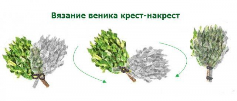Когда вязать веники для бани 2024 березовые. Как вязать веники для бани. Березовый веник. Вязание веников для бани. Схема вязания веника для бани