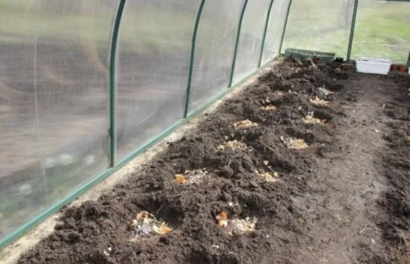 Подготовка теплицы