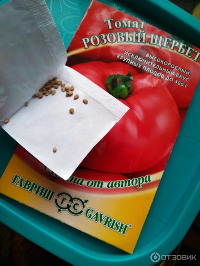 томат щербет. черри щербет. томат щербет восточный деликатес. семена томат розовый щербет. черри ликопа.