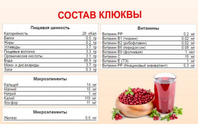 Состав клюквы