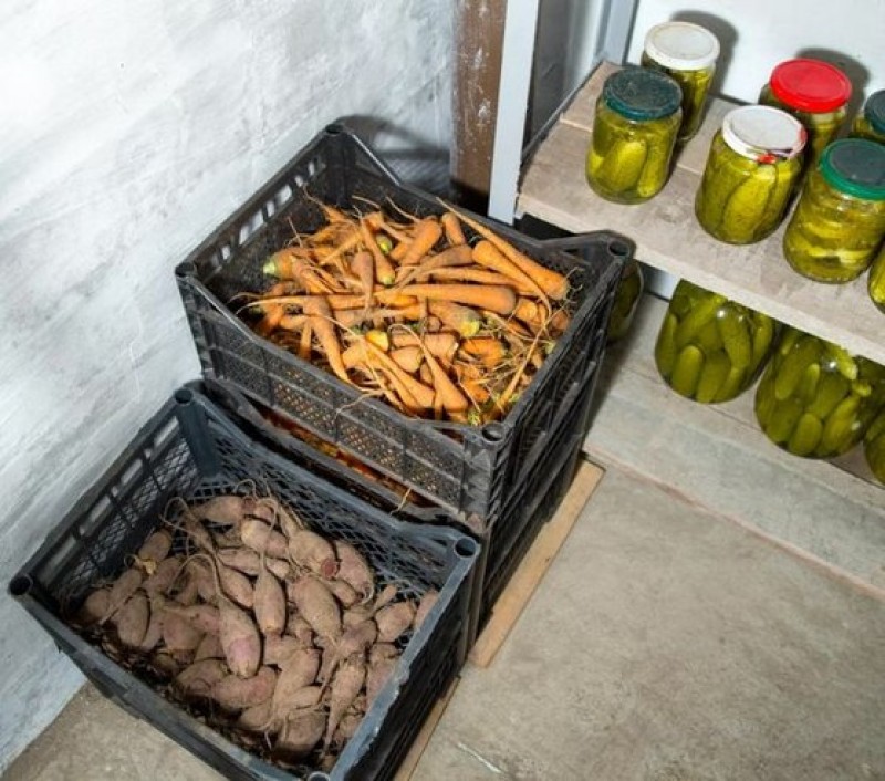 Холодильник для овощей. Как сохранить овощи на зиму. Хранение продуктов. Подвал с заготовками. Как сохранить овощи на зиму.