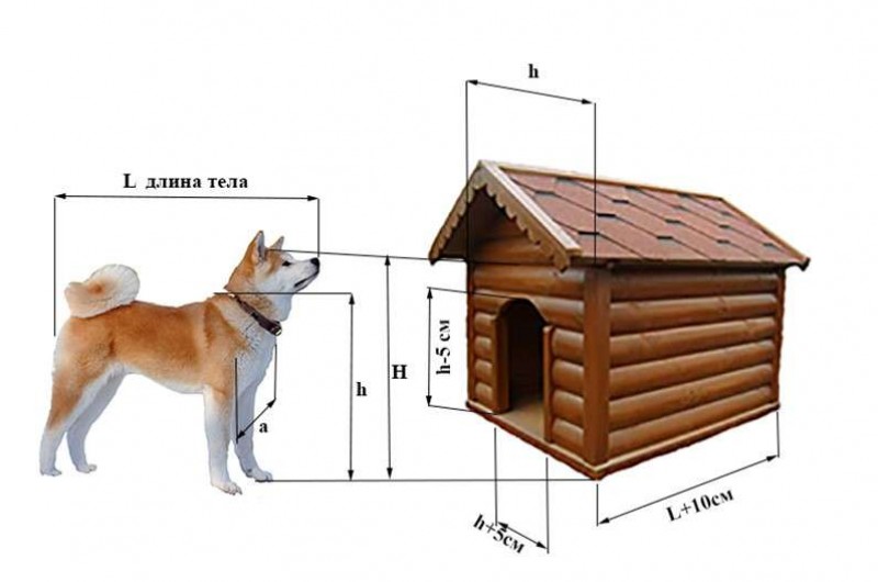 Немецкая овчарка размеры. Конура для немецкой овчарки. Размеры будки для собаки хаски. Чертёж собачьей будки с размерами. Размер собачьей будки для лайки чертеж.