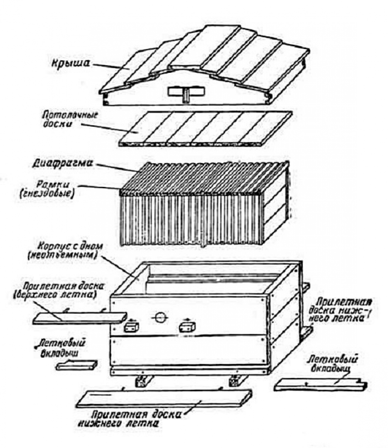 Что входит в базовую часть умного улья. Схема устройства ульев для пчел. Конструкция пчелиного улья. Схема строения пчелиного улья. Строение улья для пчел схема.