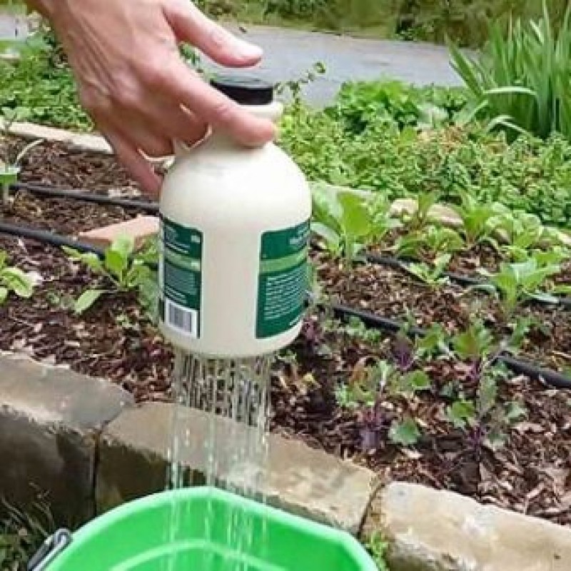 Как сделать лейку для полива. Лейка для полива огорода. Как сделать лейку для полива. Лейка для огорода. Как сделать лейку для полива.