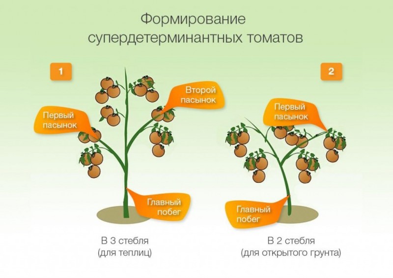 Схема формирования