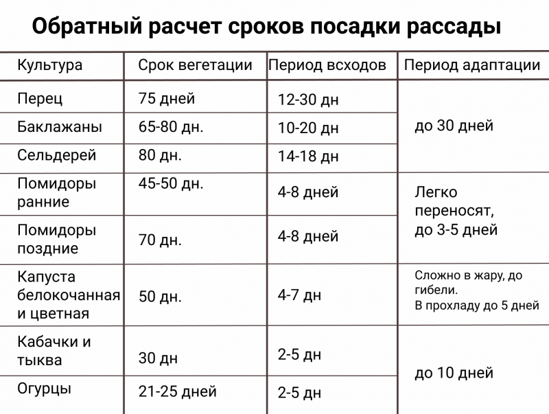 Когда нужно сеять рассаду в 2024 году. Можно сеять рассаду на закате. Успешный старт посева рассады реклама. Когда сеять на рассаду дельфинариум. Памятка что когда сеять для Южной полосы.