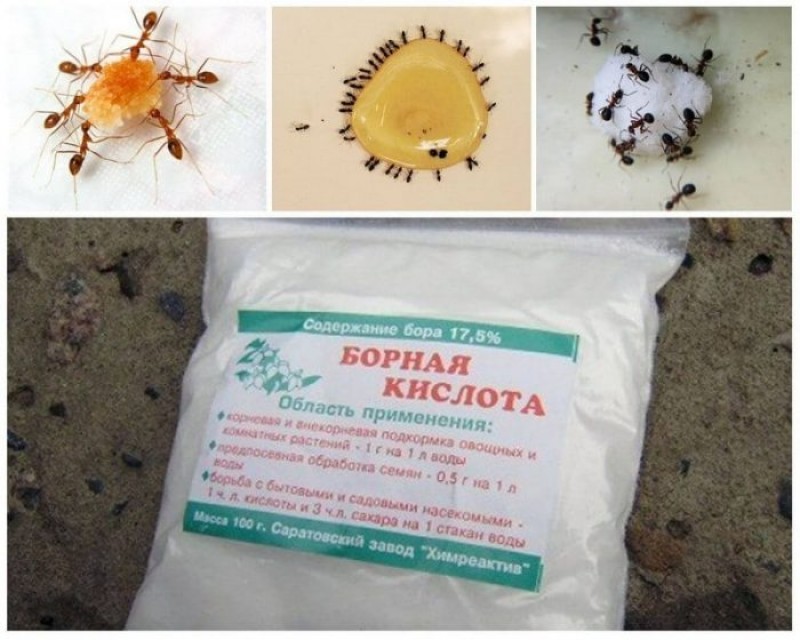 Кислота от муравьев