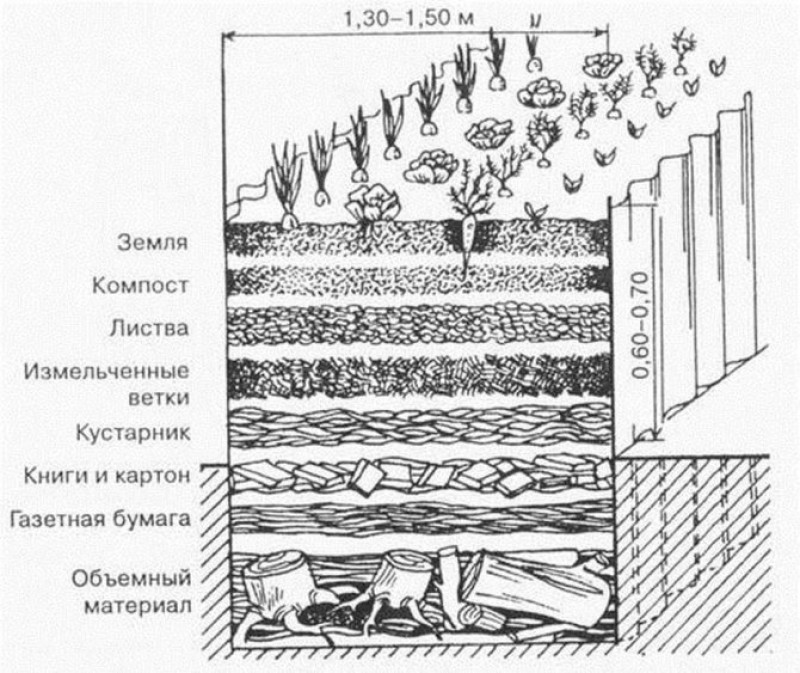 Схема теплой грядки