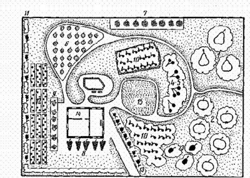 Планировка плодового сада схема