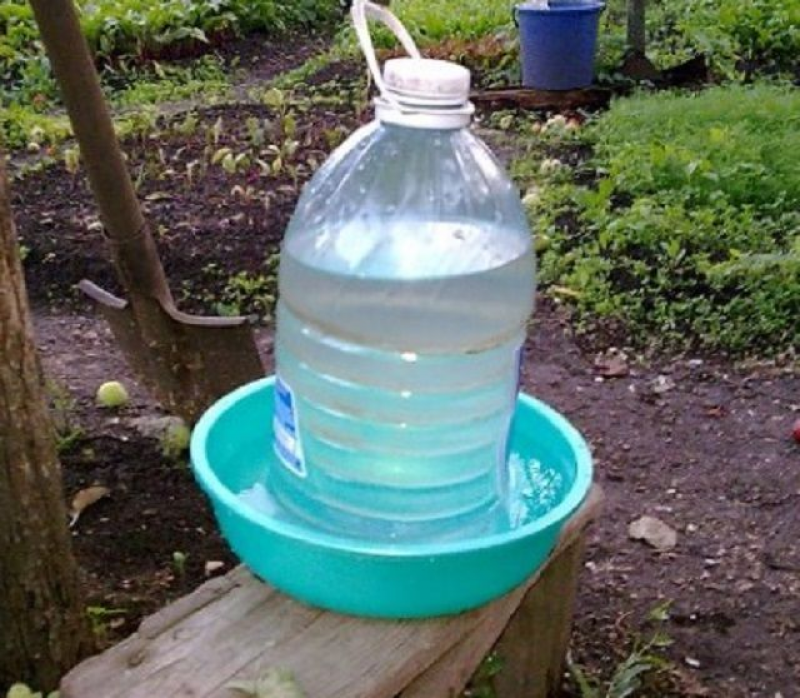 Поилка для курей. Поилка из пластиковой бутылки своими руками. Кормушки и поилки для курей. Автопоилка для кур из 20 л бутылки. Поилки для цыплят бройлеров.