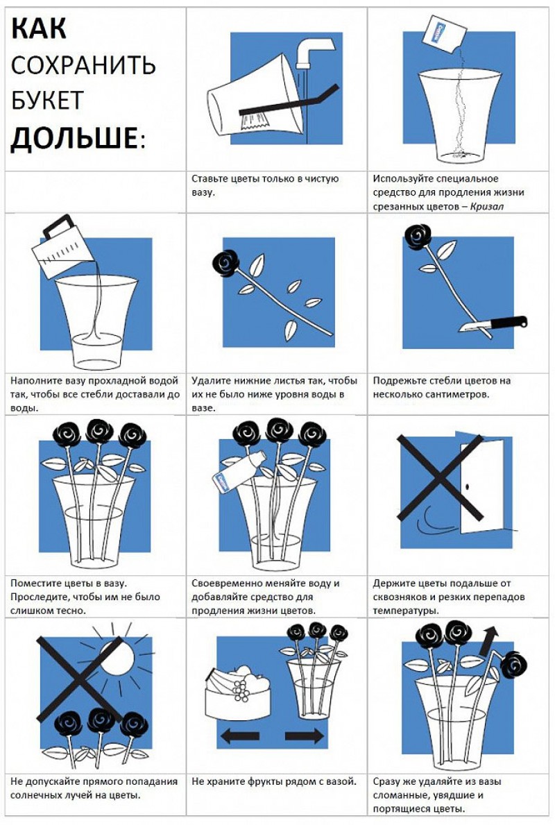 Памятка по уходу за срезанными цветами