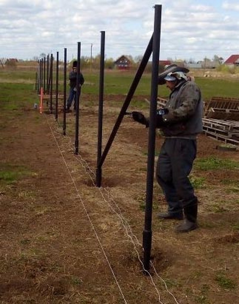 Забить трубы для забора. Столб металлический для забора окрашенный. Забить столбы для забора. Забивание столбов для забора. Покраска металлических столбов для забора.