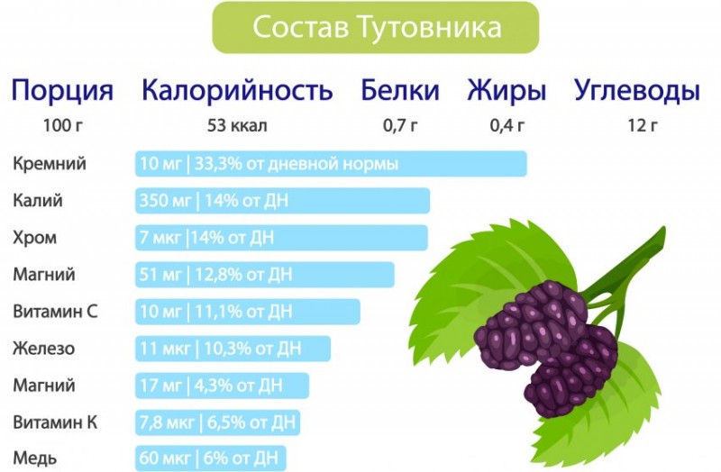 Состав Шелковицы